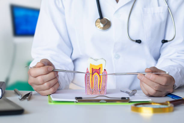 Best Emergency Treatment for Dental Infections or Abscesses in Monroe, MI
